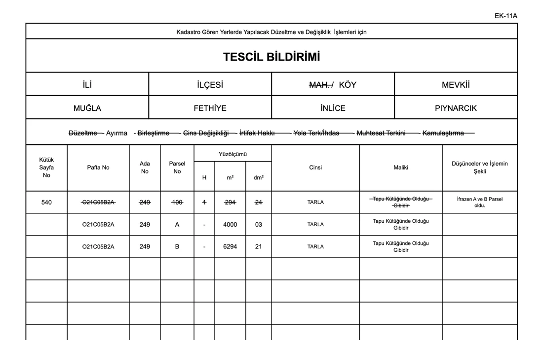 Beyanname / tescil bildirimi